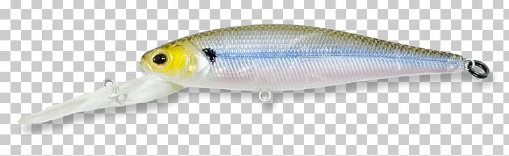 Bass Worms Fishing Technology Television Show PNG, Clipart, Bait, Bass Worms, Fish, Fishing, Fishing Bait Free PNG Download