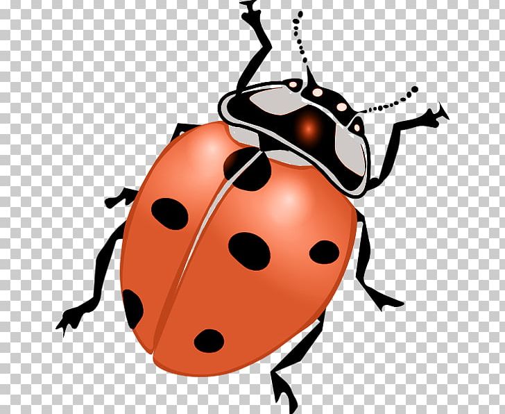 Ladybird Beetle Drawing PNG, Clipart, Abd, Animals, Artwork, Beetle, Download Free PNG Download