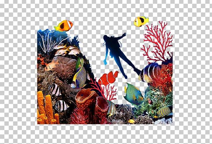 Coral Reef Fish Seabed PNG, Clipart, Aquarium, Aquarium Decor, Computer Icons, Coral, Coral Reef Free PNG Download