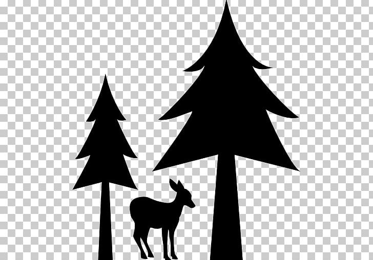 Deer Tree Pine Computer Icons PNG, Clipart, Animals, Antler, Black And White, Branch, Christmas Free PNG Download