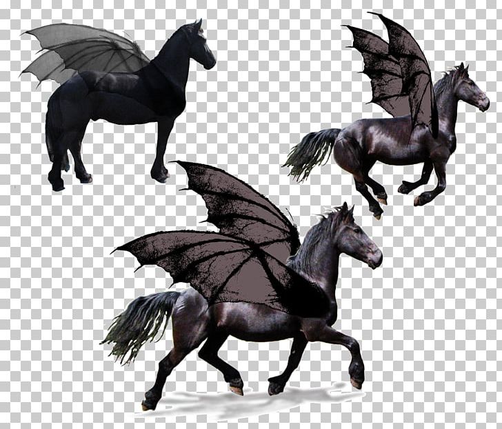 Standardbred Friesian Horse Trot Equestrian Pegasus PNG, Clipart, Collection, Equestrian, Fantasy, Fictional Character, Flickr Free PNG Download