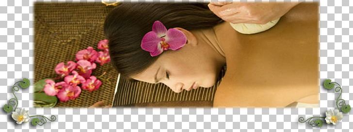 Sunshine Thai Massage & Spa Masseur PNG, Clipart, Artificial Flower, Beauty, Cut Flowers, Ear, Facial Free PNG Download