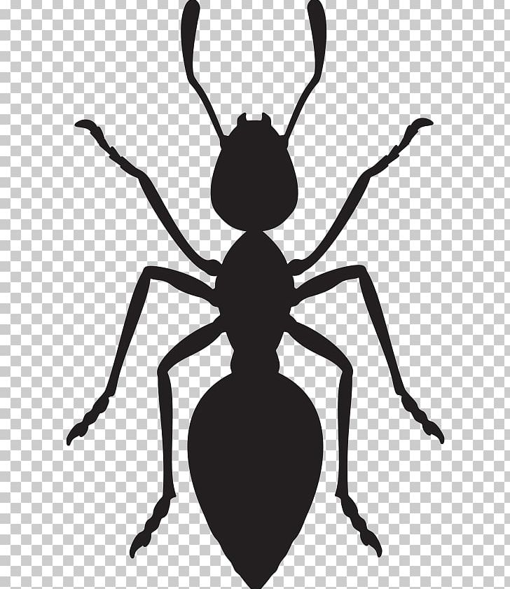 Ant Insect Computer Icons PNG, Clipart, Animals, Ant, Ant Colony, Ant Farm, Argentine Ant Free PNG Download