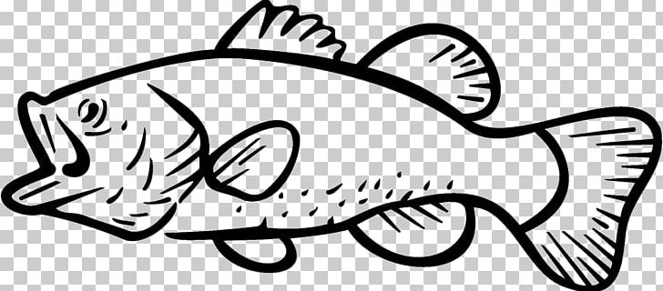 Bass Fishing Largemouth Bass PNG, Clipart, Arm, Art, Artwork, Bass, Bass Fish Free PNG Download