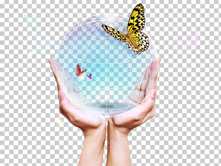 Icon PNG, Clipart, Adobe Illustrator, Blue, Butterflies, Butterfly Group, Earth Free PNG Download