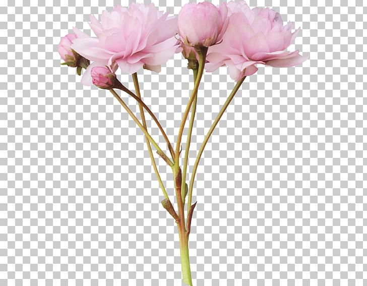 Pink Flowers Peony PNG, Clipart, Artificial Flower, Bouquet, Computer Icons, Cut Flowers, Encapsulated Postscript Free PNG Download