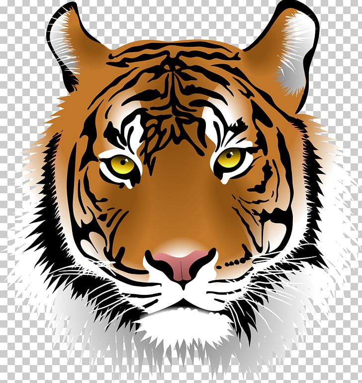 Sriracha Tiger Zoo Bengal Tiger PNG, Clipart, Animals, Bengal Tiger, Big Cats, Carnivoran, Cat Like Mammal Free PNG Download