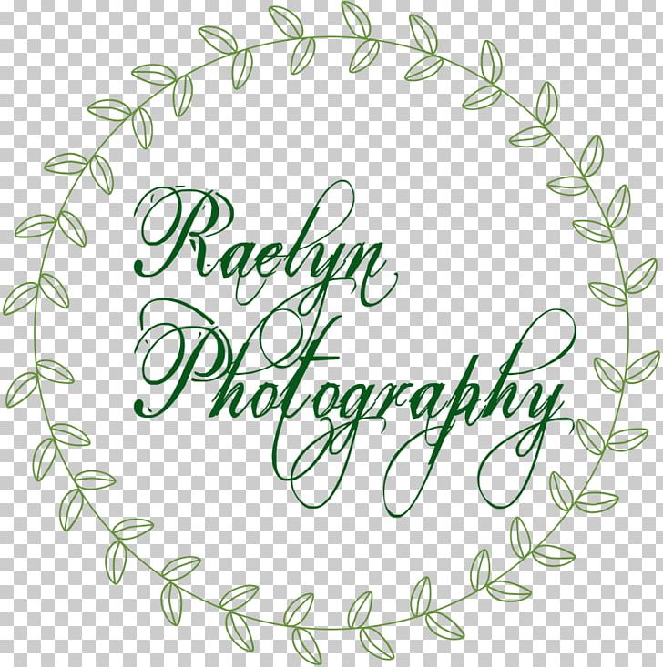 Photography Party Photographer Birthday PNG, Clipart, Area, Birthday, Calligraphy, Child, Childrens Party Free PNG Download