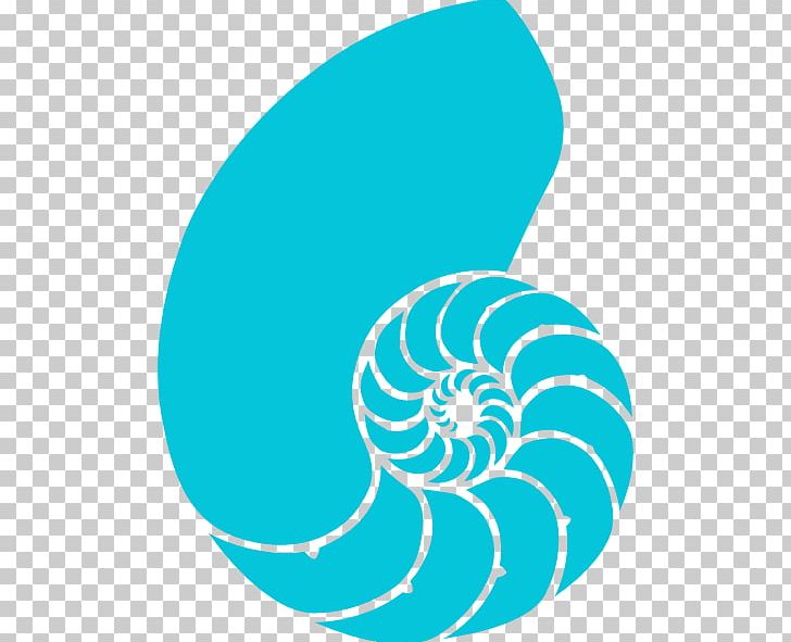 Nautilidae Seashell Chambered Nautilus PNG, Clipart, Animals, Aqua, Area, Art, Artwork Free PNG Download