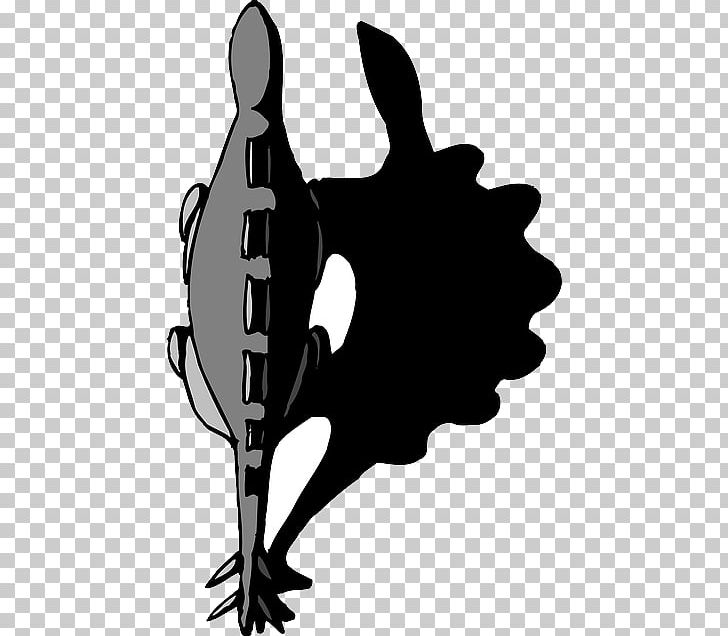 Stegosaurus Dinosaur Graphics PNG, Clipart, Animal, Black And White, Dinosaur, Drawing, Fantasy Free PNG Download