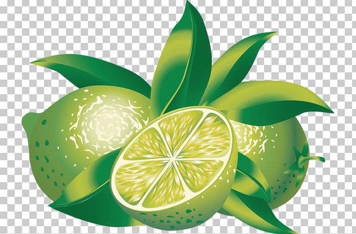 Lime Calamondin Drawing PNG, Clipart, Calamondin, Citric Acid, Citrus, Drawing, Food Free PNG Download