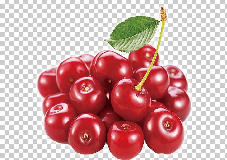 Plastic Bag Food Storage Silicone Reuse PNG, Clipart, Agriculture, Bag, Cherries, Cherry, Cherry Flower Free PNG Download
