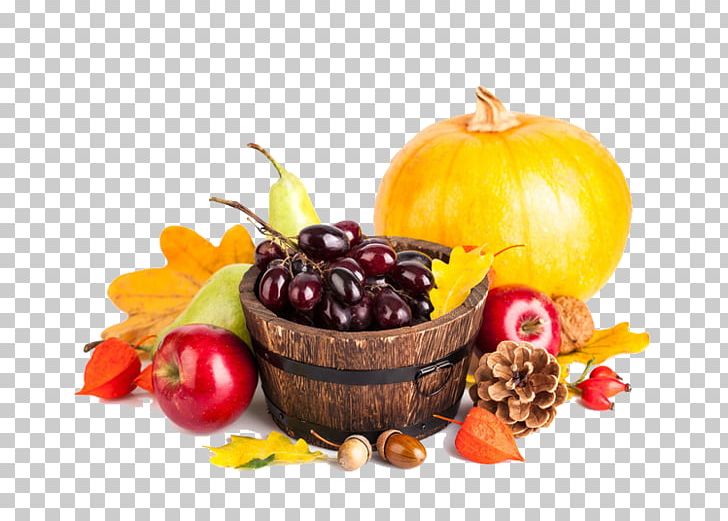Vegetable Fruit Food Pumpkin PNG, Clipart, Apple Fruit, Auglis, Cranberry, Diet Food, Echinacea Free PNG Download