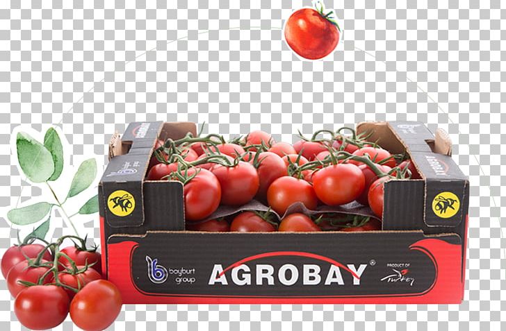 Bush Tomato Agrobay Satış Mağazası PNG, Clipart, Agriculture, Bush Tomato, Crop, Diet, Diet Food Free PNG Download