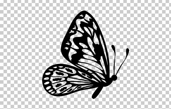 Butterfly Drawing PNG, Clipart, Art, Black And White, Brush Footed Butterfly, Butterfly, Color Free PNG Download