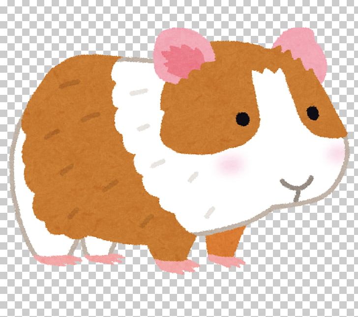 Guinea Pig Cat Hamster Dog いらすとや PNG, Clipart, Animal, Animal Rights, Animals, Carnivoran, Cat Free PNG Download
