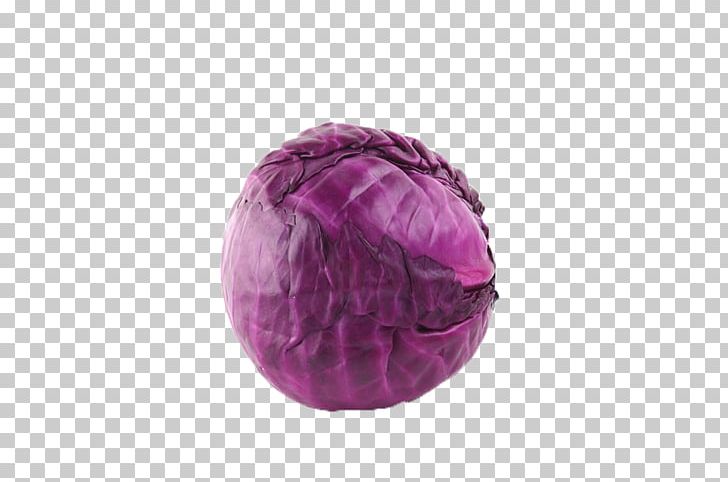 Red Cabbage Cauliflower Vegetable PNG, Clipart, Cabbage, Cabbage Cartoon, Cabbage Leaves, Cartoon Cabbage, Cauliflower Free PNG Download