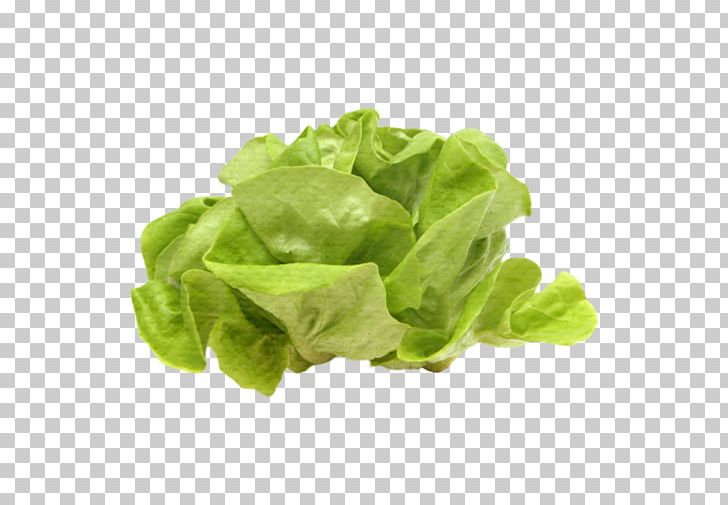 Romaine Lettuce Spinach Vegetable Vegetarian Cuisine PNG, Clipart, Corn Salad, Food, Food Drinks, Fruit, Lactuca Free PNG Download