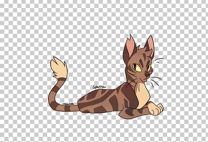 Tabby Cat Kitten Whiskers Warriors PNG, Clipart,  Free PNG Download