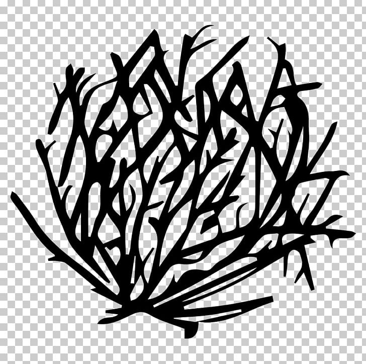 Tumbleweed Drawing PNG, Clipart, Artwork, Black And White, Branch, Clip Art, Commodity Free PNG Download