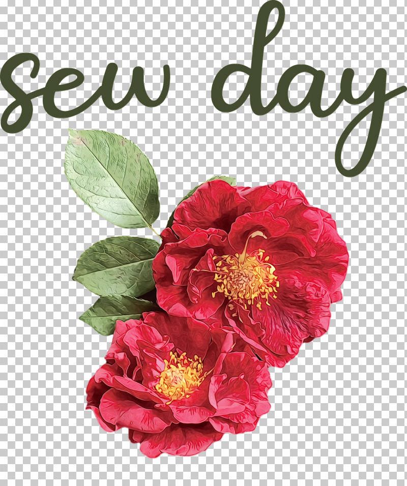 Floral Design PNG, Clipart, Cut Flowers, Floral Design, Flower, Garden, Garden Roses Free PNG Download