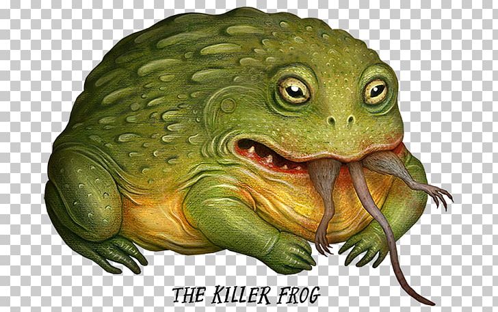 American Bullfrog Toad Amphibian Tree Frog PNG, Clipart, American Bullfrog, Amphibian, Box Turtles, Bullfrog, Crazy Monster Frogs Free PNG Download