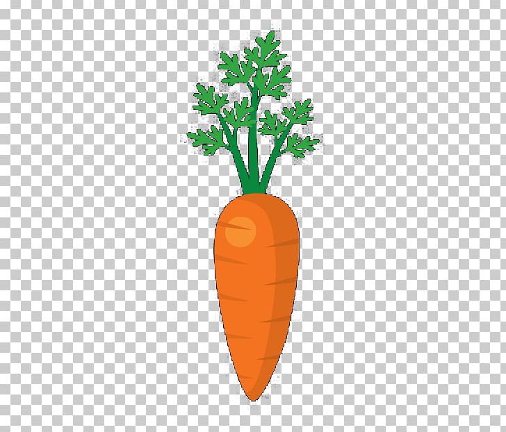 Carrot Vegetable Chinese Cabbage PNG, Clipart, Autumn Leaves, Banana Leaves, Carrot, Cucumber, Daucus Carota Free PNG Download