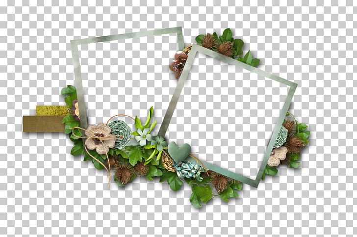 Frames Photography E-card PNG, Clipart, Author, Basket, Border Frames, Ecard, E Card Free PNG Download