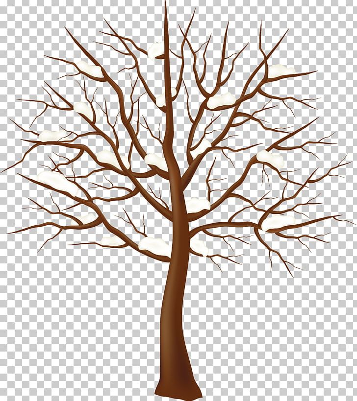 Tree Winter PNG, Clipart, Arecaceae, Autumn, Branch, Derevo, Flower Free PNG Download