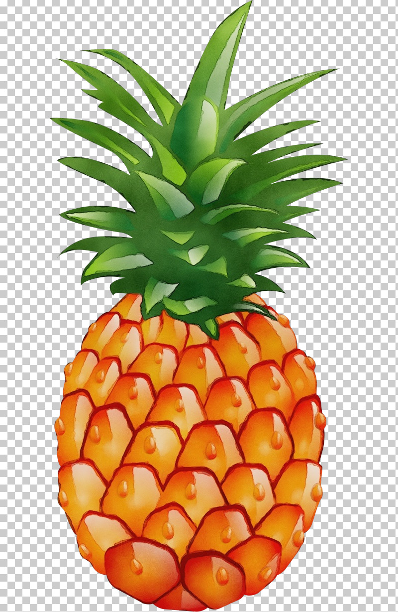 Pineapple PNG, Clipart, Drawing, Dried Fruit, Fruit, Juice, Paint Free PNG Download