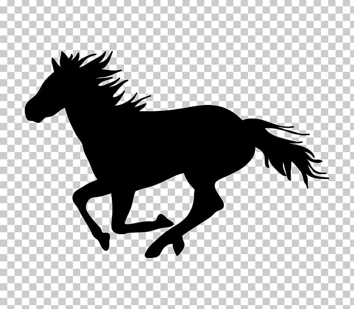 Horse Toy Horse Racing PNG, Clipart, Animals, Bcb Bancorp, Black And White, Bridle, Colt Free PNG Download