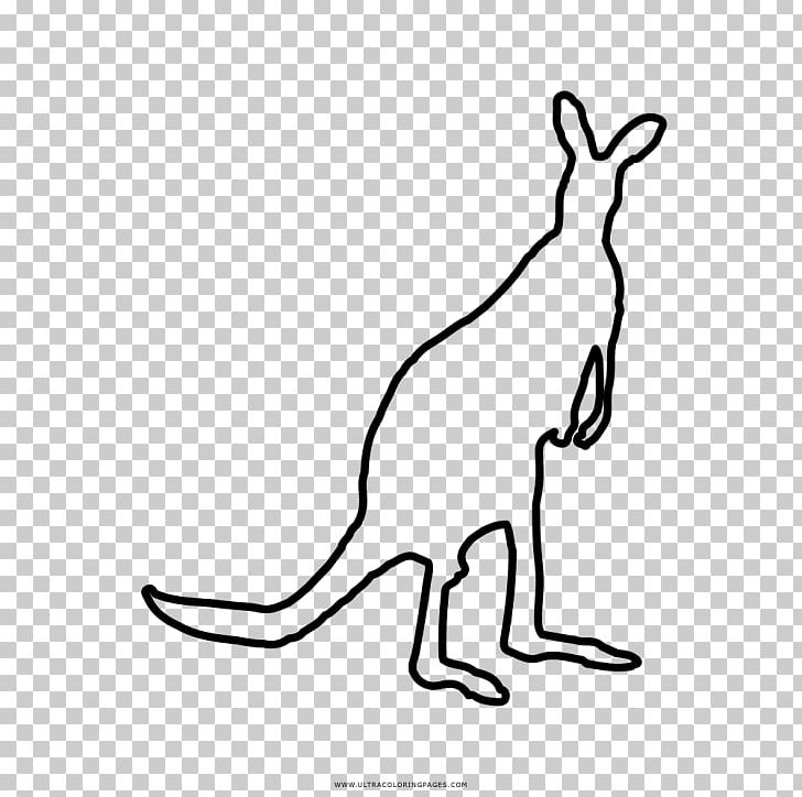 Kangaroo Domestic Rabbit Coloring Book Macropods PNG, Clipart, Animal, Animal Figure, Animals, Area, Black And White Free PNG Download