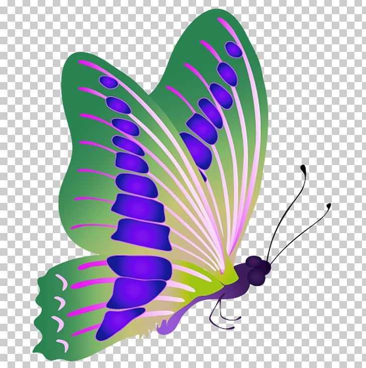 Purple PNG, Clipart, Art, Butterfly, Insect, Invertebrate, Moths And Butterflies Free PNG Download