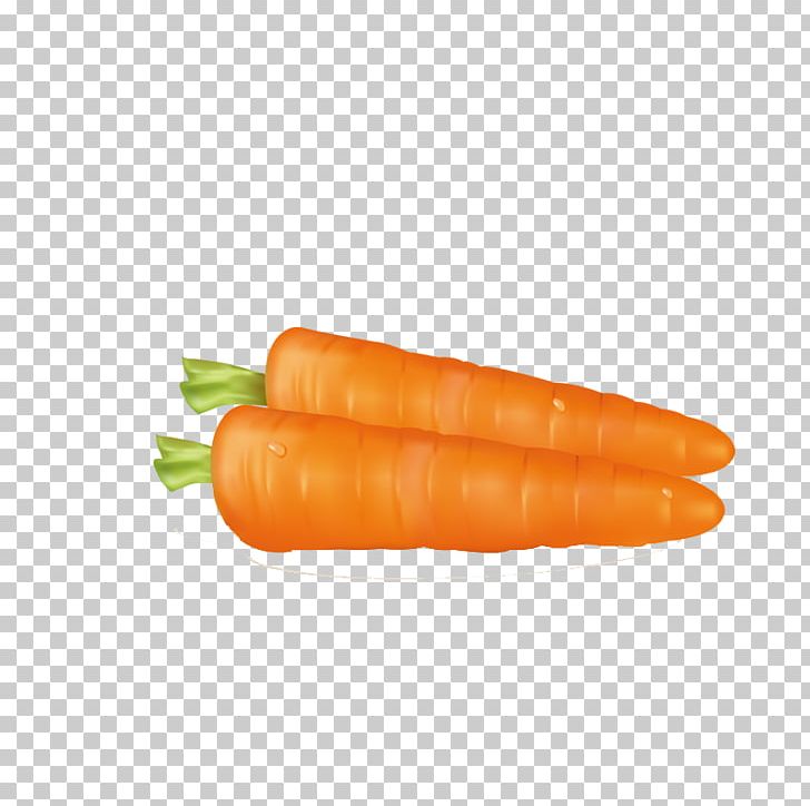 Baby Carrot Sausage Vegetable PNG, Clipart, Baby Carrot, Bunch Of Carrots, Carrot, Carrot Cartoon, Carrot Juice Free PNG Download