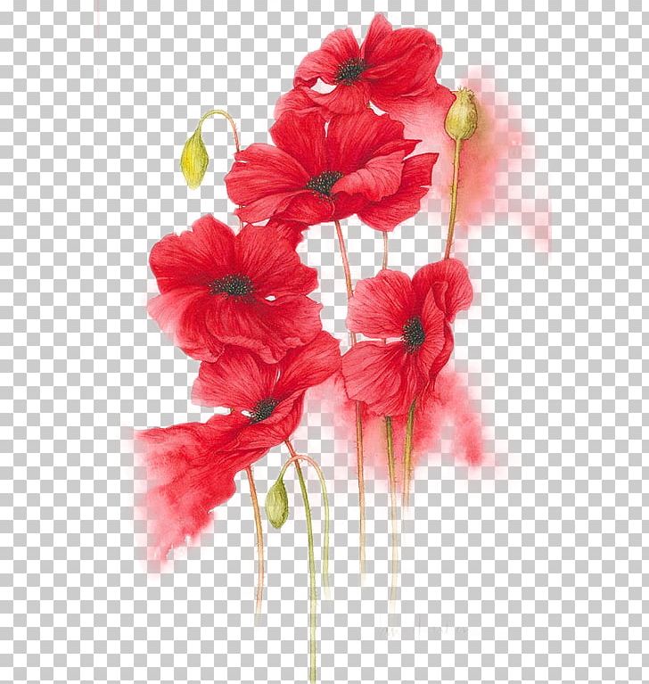 Orange PNG, Clipart, Artificial Flower, Botanical Illustration, Canvas, Common Poppy, Cut Flowers Free PNG Download