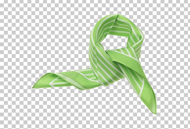 Scarf Silk Necktie Handkerchief Clothing PNG, Clipart, Clothing, Color, Doek, Foulard, Green Free PNG Download