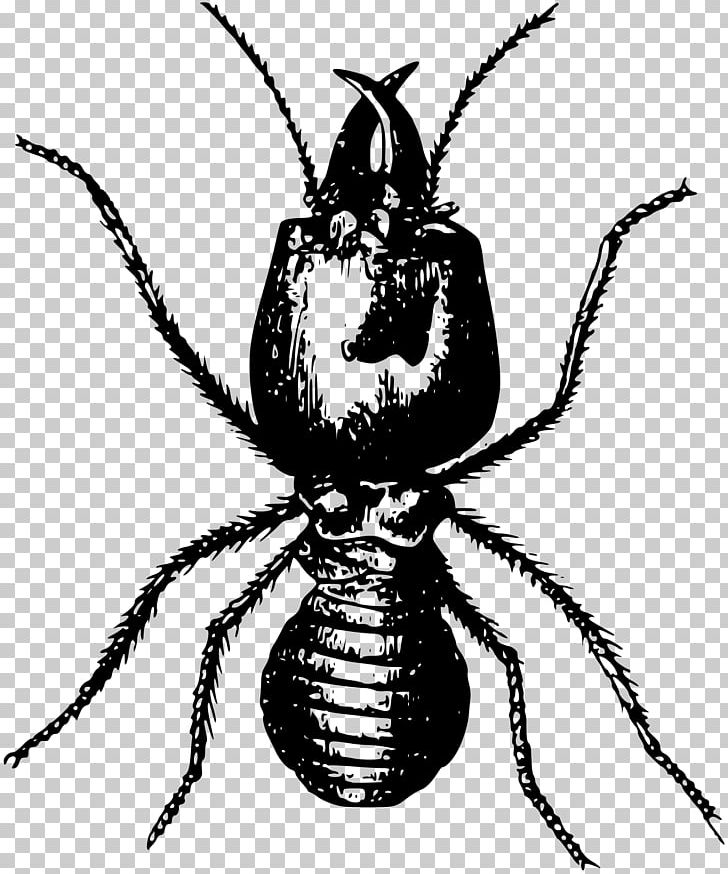 Ant Insect Termite Pest Control PNG, Clipart, Animal, Animals, Ant, Ant Colony, Arthropod Free PNG Download