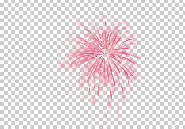 Fireworks Computer Software PNG, Clipart, Closeup, Computer Software, Computer Wallpaper, Download, Event Free PNG Download
