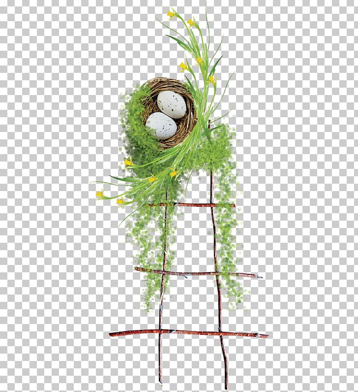 Floral Design Easter PNG, Clipart, Art, Bird Nest, Birds, Birds Nest, Book Ladder Free PNG Download