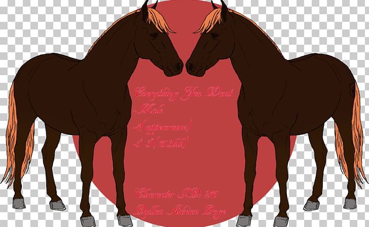 Mustang Foal Stallion Colt Mare PNG, Clipart,  Free PNG Download