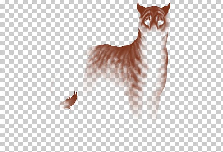 Whiskers Manx Cat American Wirehair Kitten Domestic Short-haired Cat PNG, Clipart, American Wirehair, Animals, Canidae, Carnivoran, Cat Free PNG Download