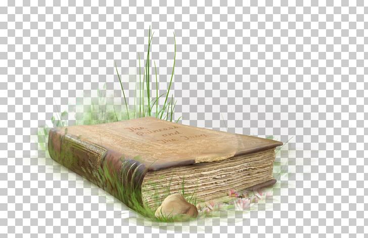 Book Drawing PNG, Clipart, Book, Book Decoration, Drawing, Furniture, Grass Free PNG Download