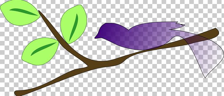 Branch Tree PNG, Clipart, Branch, Brand, Conifers, Drawing, Flower Free PNG Download