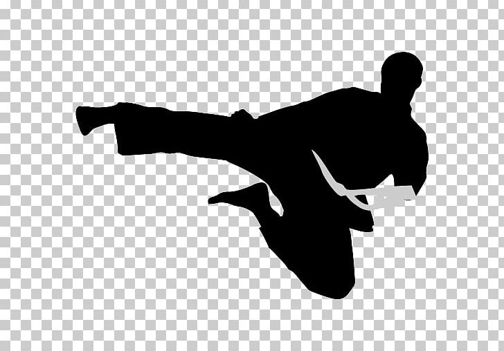 Karate Shotokan Kick Icon PNG, Clipart, Action, Action Figure, Apple Icon Image Format, Black, Black And White Free PNG Download
