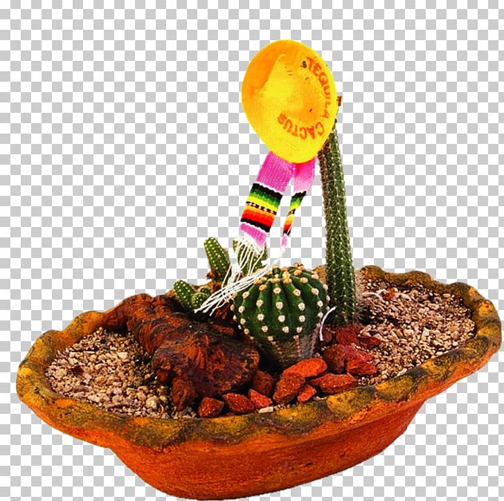 Cactaceae Bonsai PNG, Clipart, 3d Computer Graphics, Cactus, Cactus Cartoon, Cactus Vector, Cactus Watercolor Free PNG Download