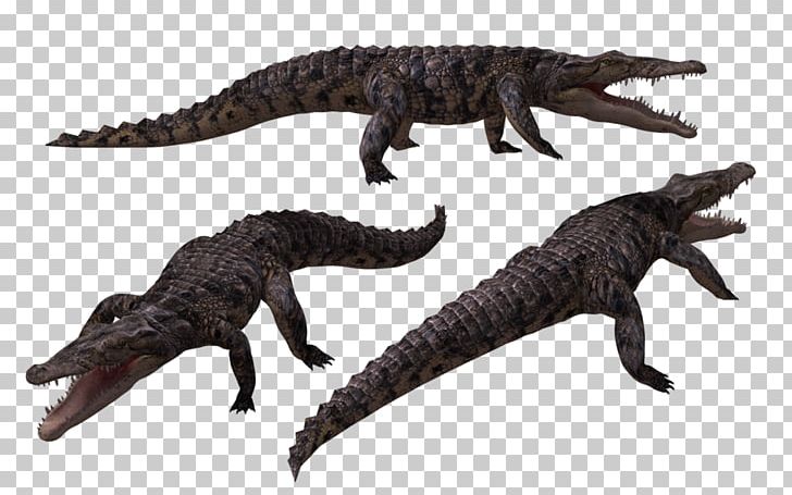 Crocodiles Alligator PNG, Clipart, 3d Computer Graphics, Alligator, Animal Figure, Animals, Crocodile Free PNG Download