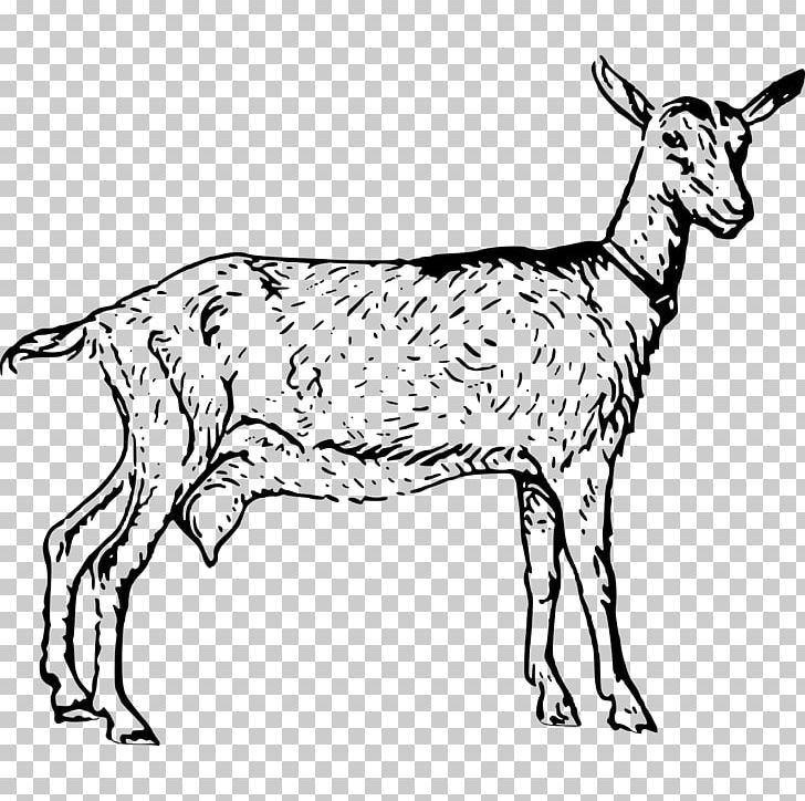 Goat Computer Icons PNG, Clipart, Animal, Animals, Black And White, Cattle Like Mammal, Common Free PNG Download