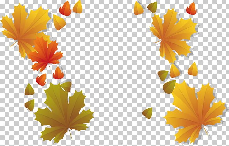 Maple Leaf PNG, Clipart, Adobe Illustrator, Computer Wallpaper, Encapsulated Postscript, Flower, Gift Box Free PNG Download