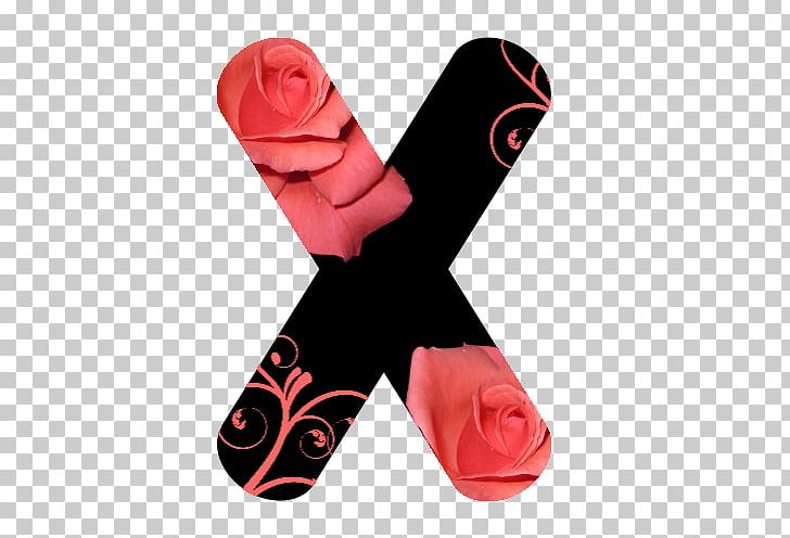 Petal Shoe Flower Rose Font PNG, Clipart, Flower, Hybrid Tea Rose, Petal, Pink, Red Free PNG Download