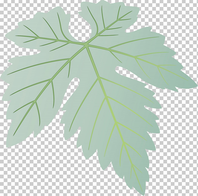 Plane PNG, Clipart, Black Maple, Flower, Grapes Leaf, Leaf, Paint Free PNG Download